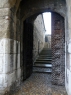 Rhone 209